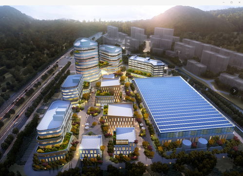 济南基因编辑产业基地项目正式启动，打造技术开发新高地